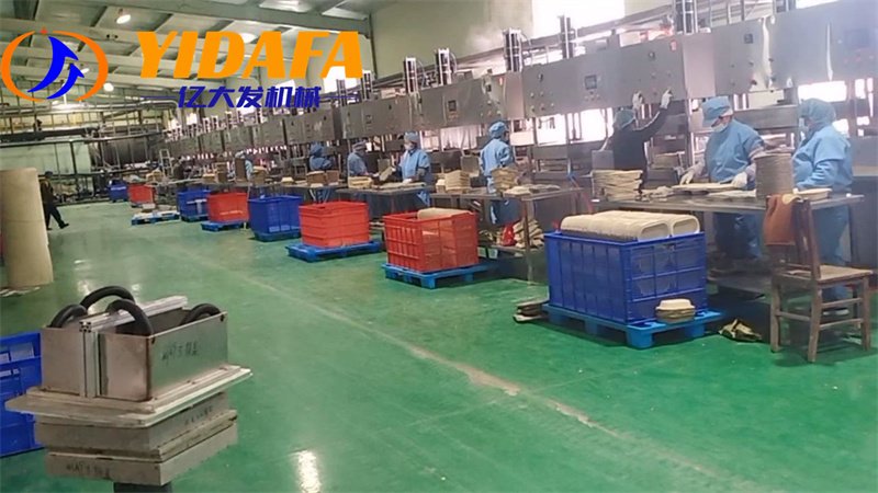 Bagasse Food Container Machine
