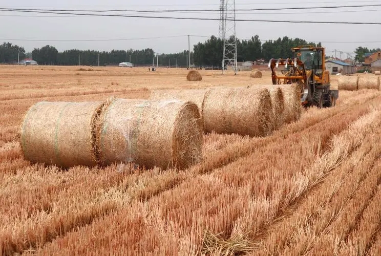 rice straw pulp machine